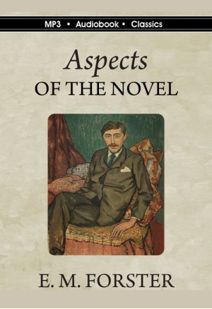 Aspects of the Novel