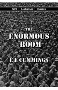 The Enormous Room