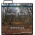 MP3 download