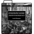 MP3 download
