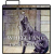 MP3 download