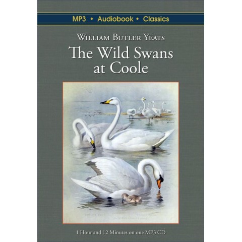 the wild swans at coole literary devices