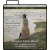 MP3 download